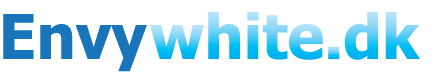 Envy white logo